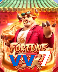 vv7